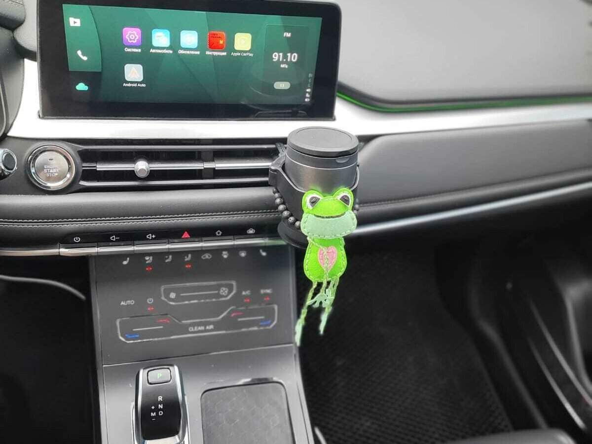 Chery Tiggo 7 Pro, 2020 Фото №13