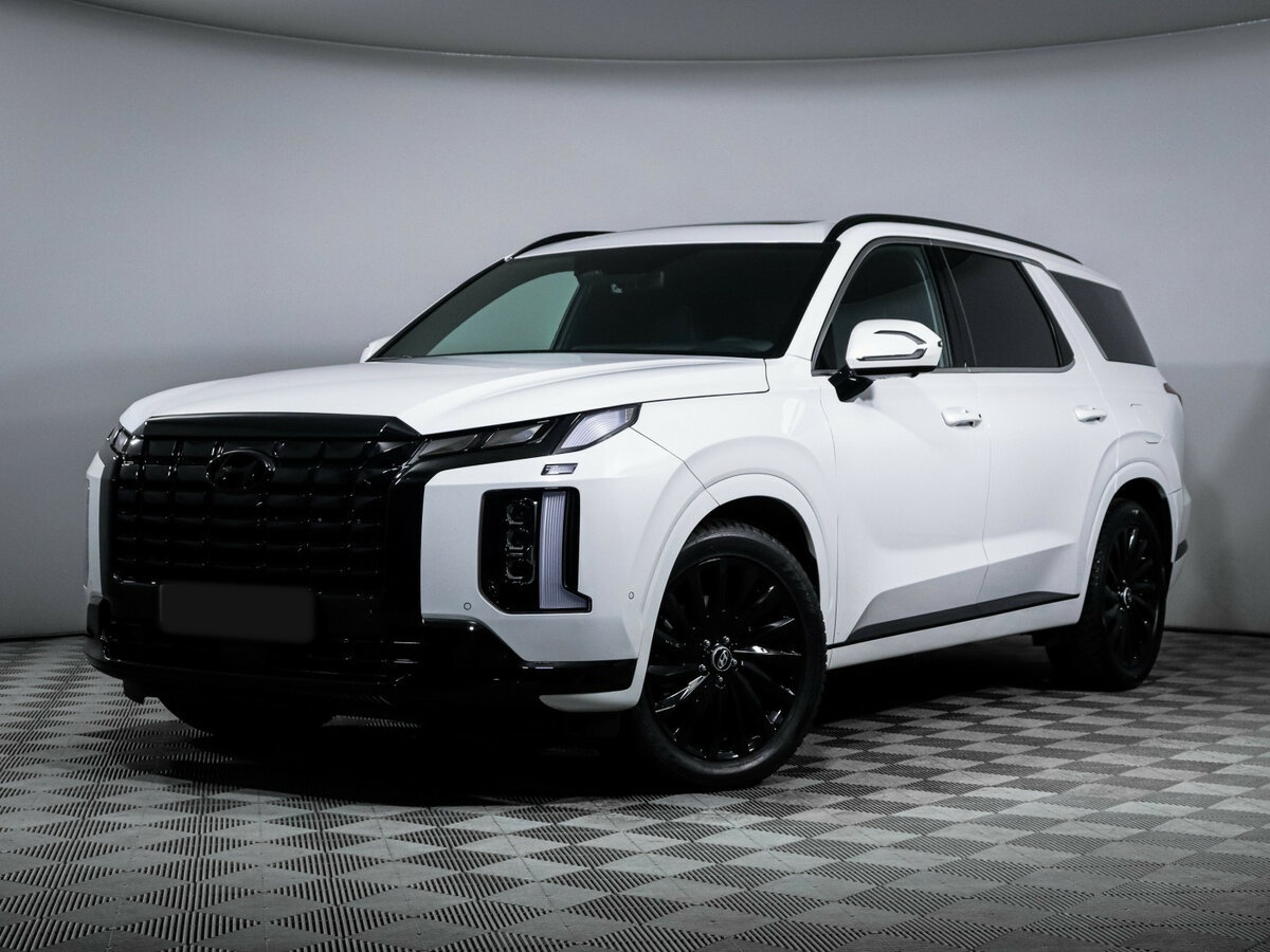 Hyundai Palisade I Рестайлинг, 2024 Фото №1