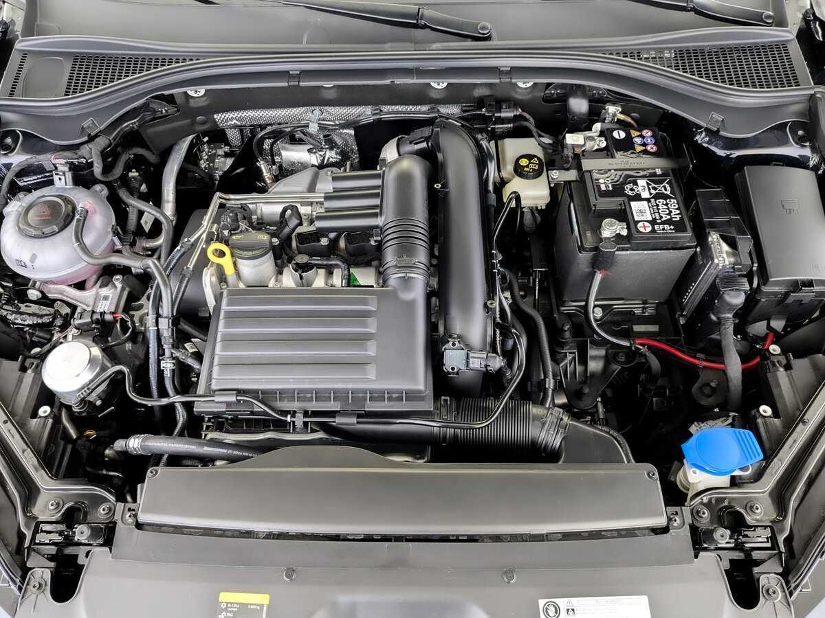 Skoda Superb, 2024 Фото №8