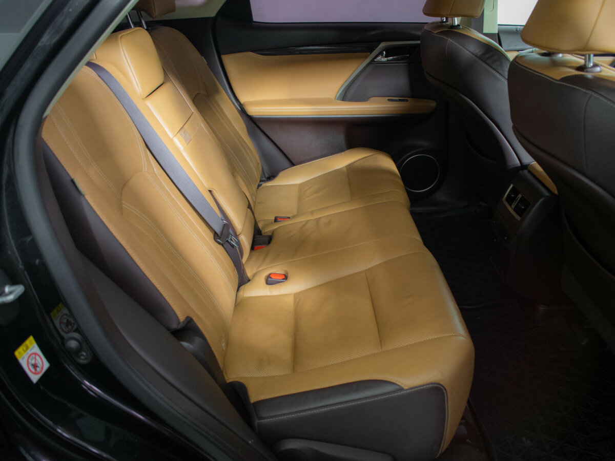 Lexus RX 300 IV, 2018 Фото №10