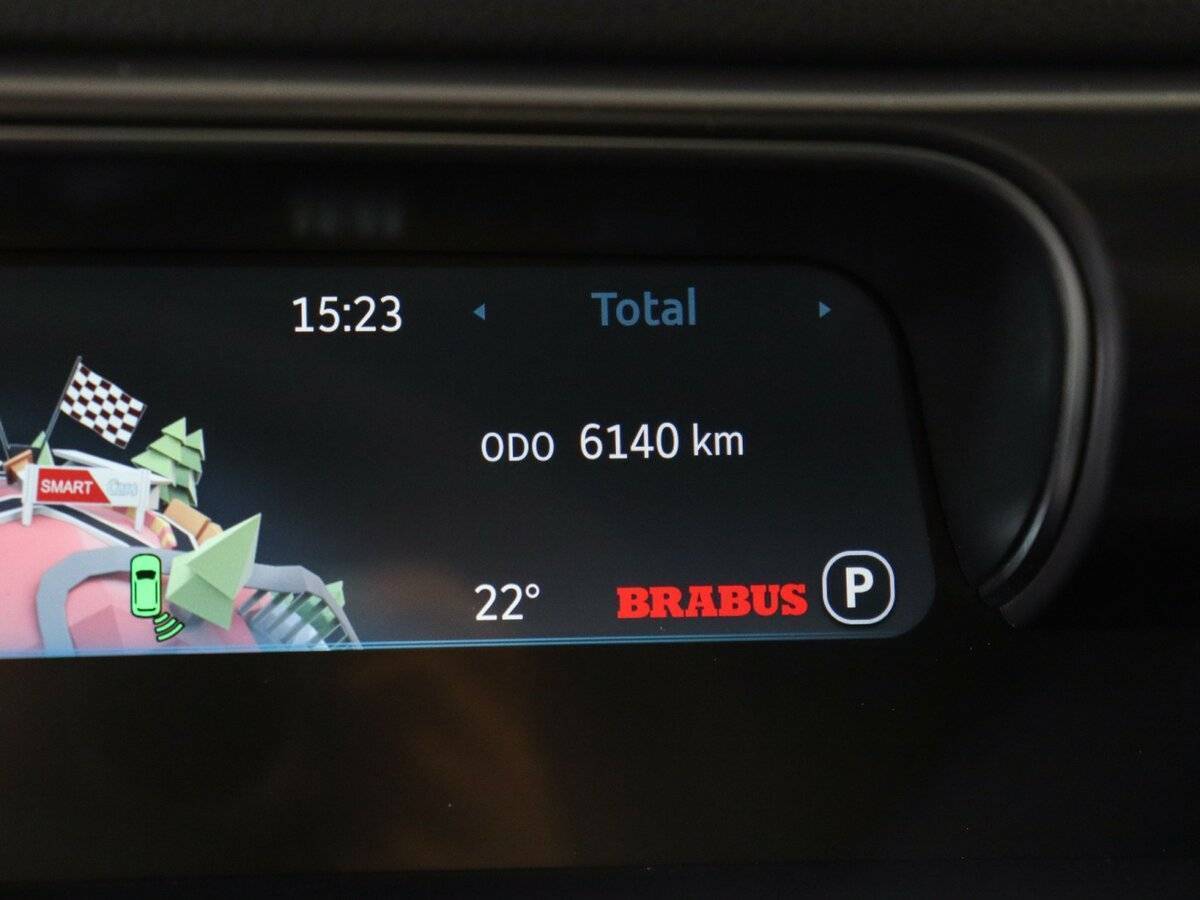 Smart #1 Brabus, 2023 Фото №8