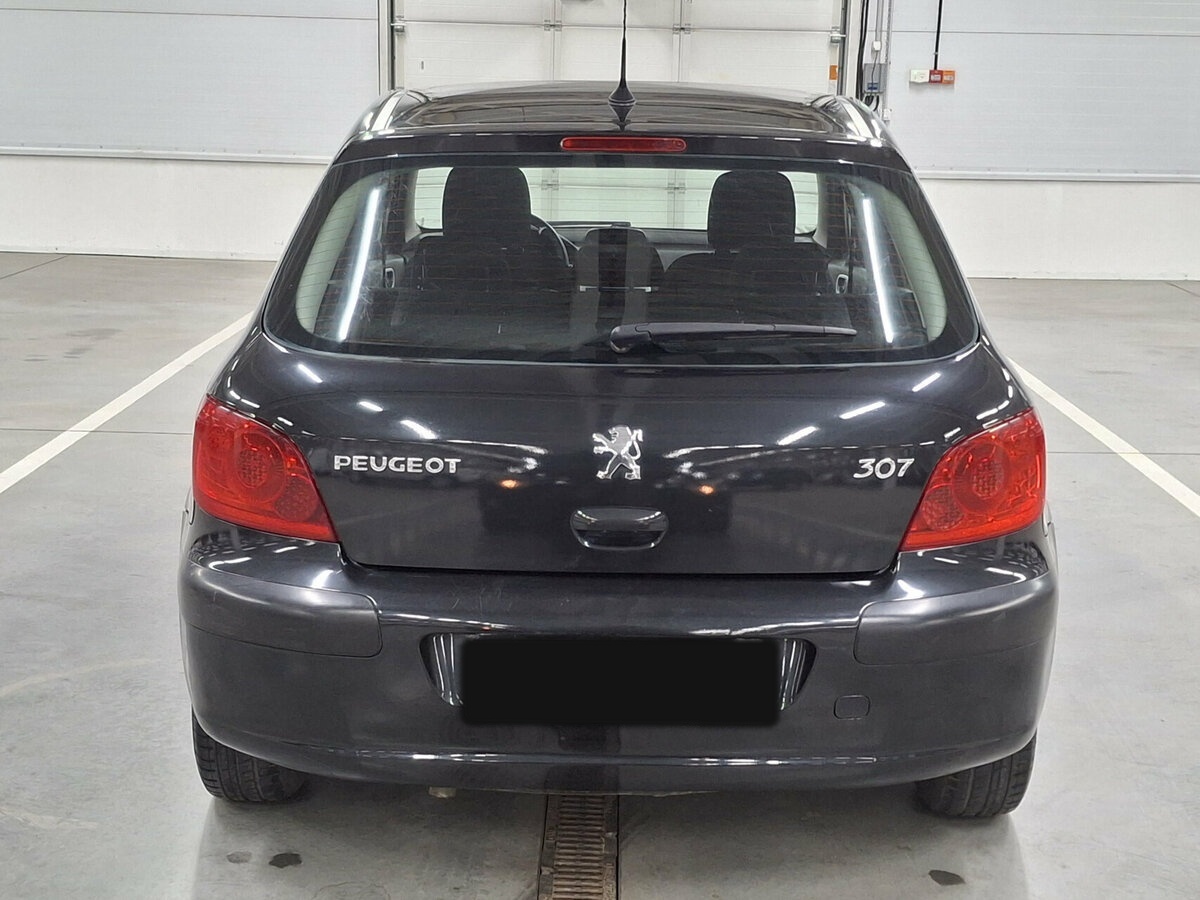 Peugeot 307 I Рестайлинг, 2006 Фото №6