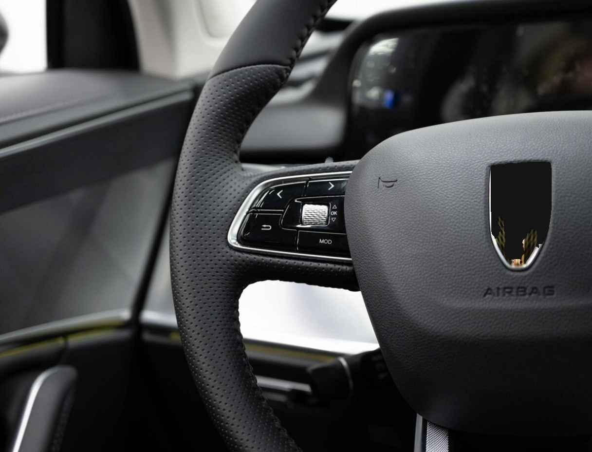 Hongqi HS5, 2023 Фото №15