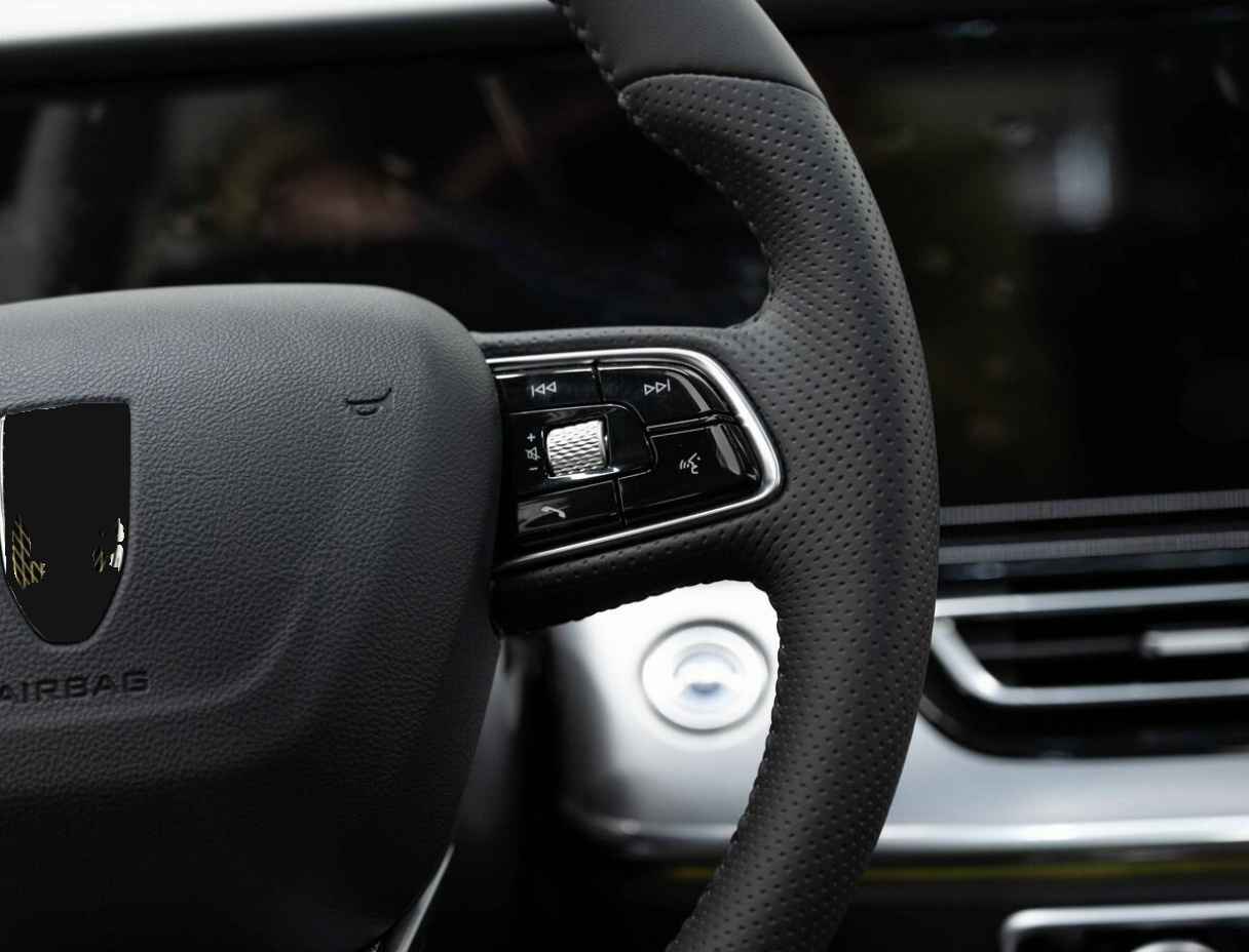 Hongqi HS5, 2023 Фото №16