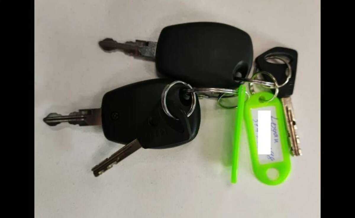 Renault Logan, 2009 Фото №13