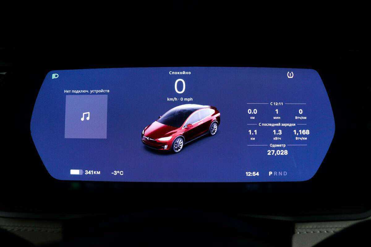 Tesla Model X Performance, 2019 Фото №10