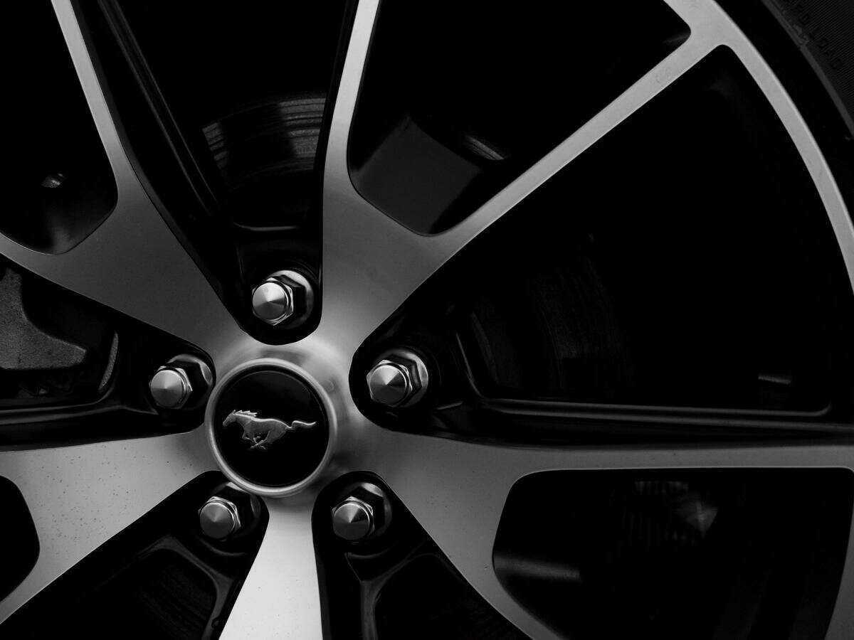 Ford Mustang, 2022 Фото №18