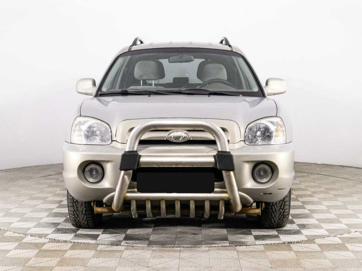 Hyundai Santa Fe Classic, 2008 - 261 363 км. | Фото №2