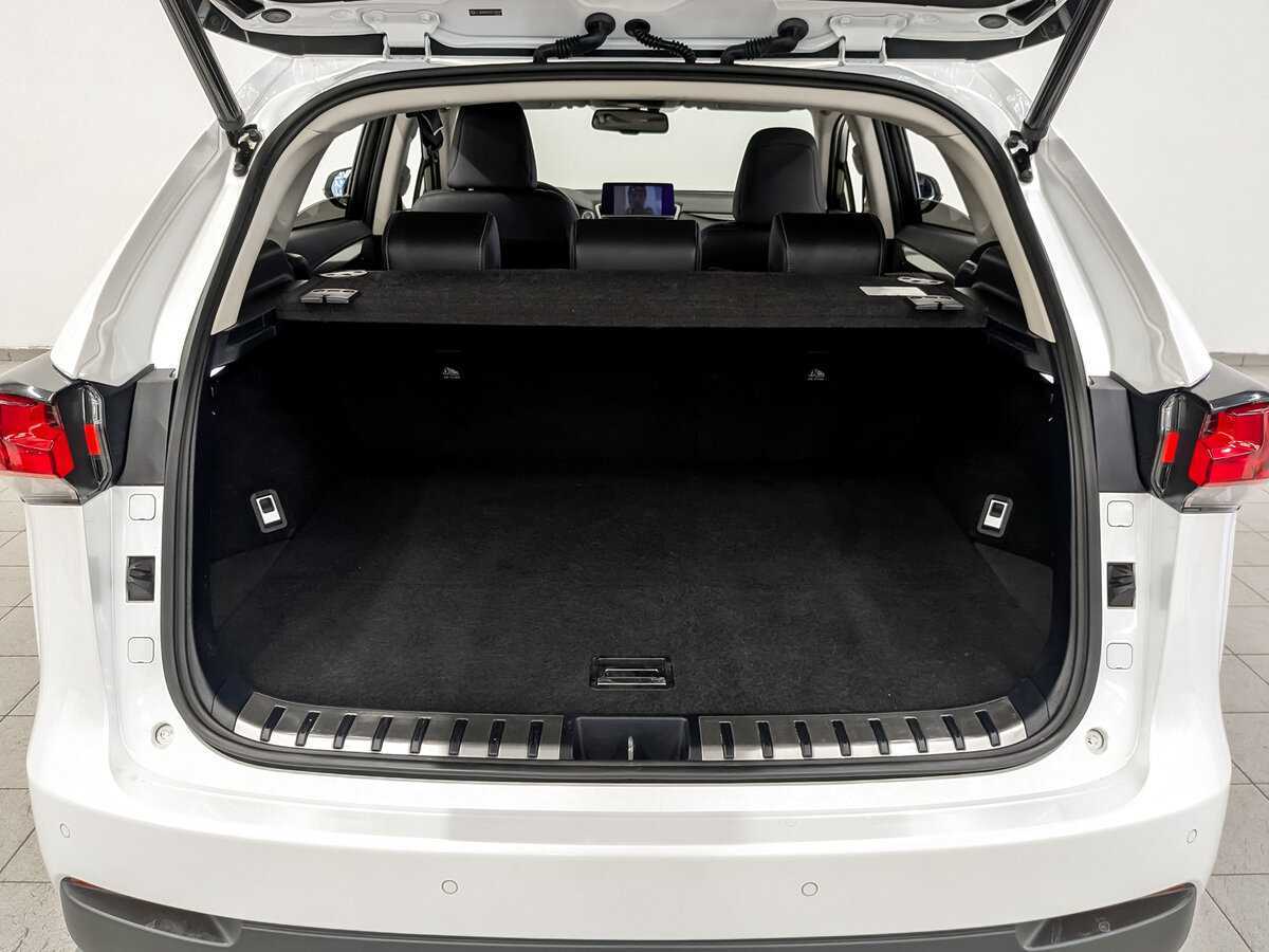 Lexus NX 300, 2019 Фото №10