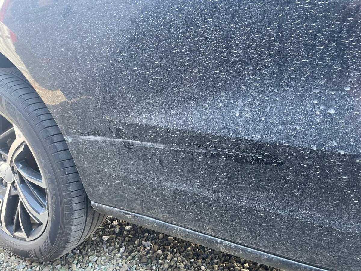 Haval Jolion, 2023 Фото №10