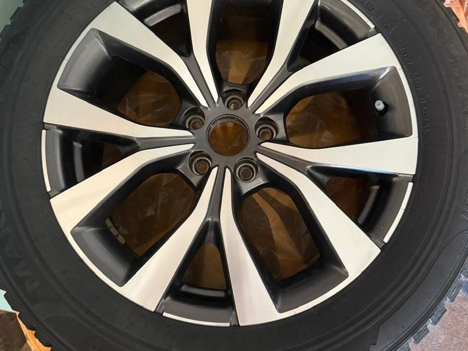 Chery Tiggo 7 Pro, 2021 Фото №13