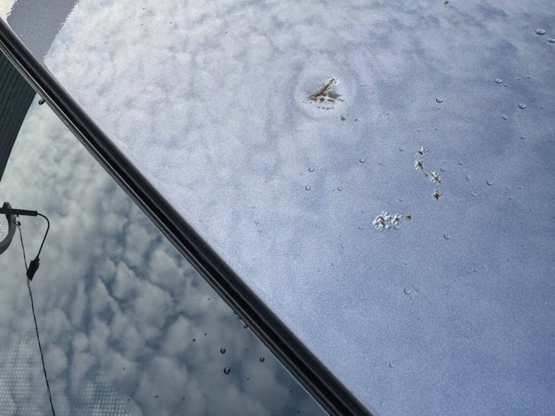 Chery Tiggo 7 Pro, 2022 Фото №10