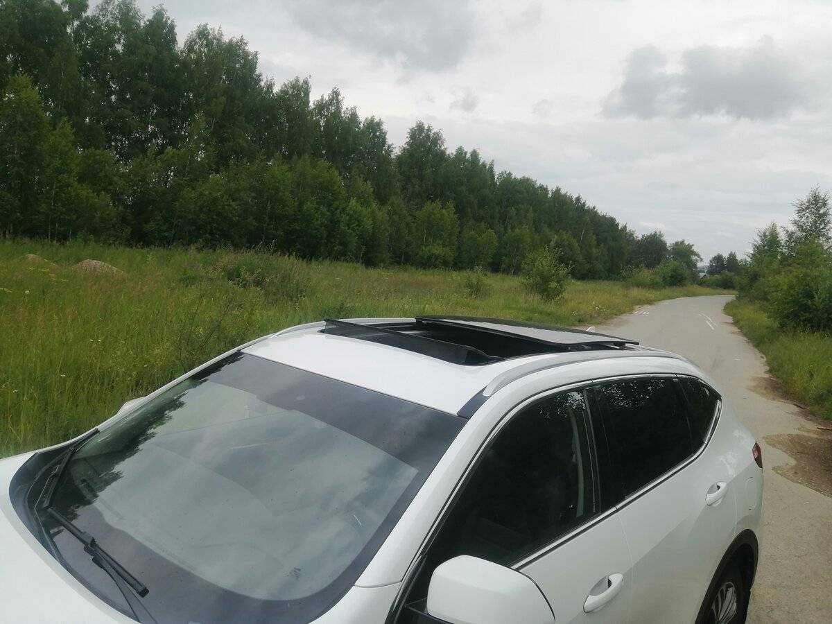 Haval F7, 2022 Фото №14