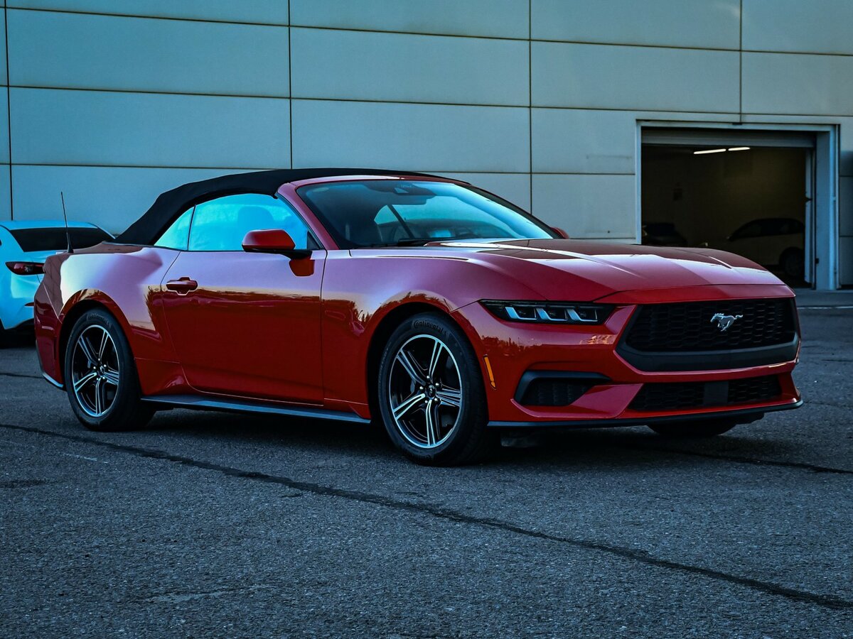 Ford Mustang VII, 2024 Фото №2