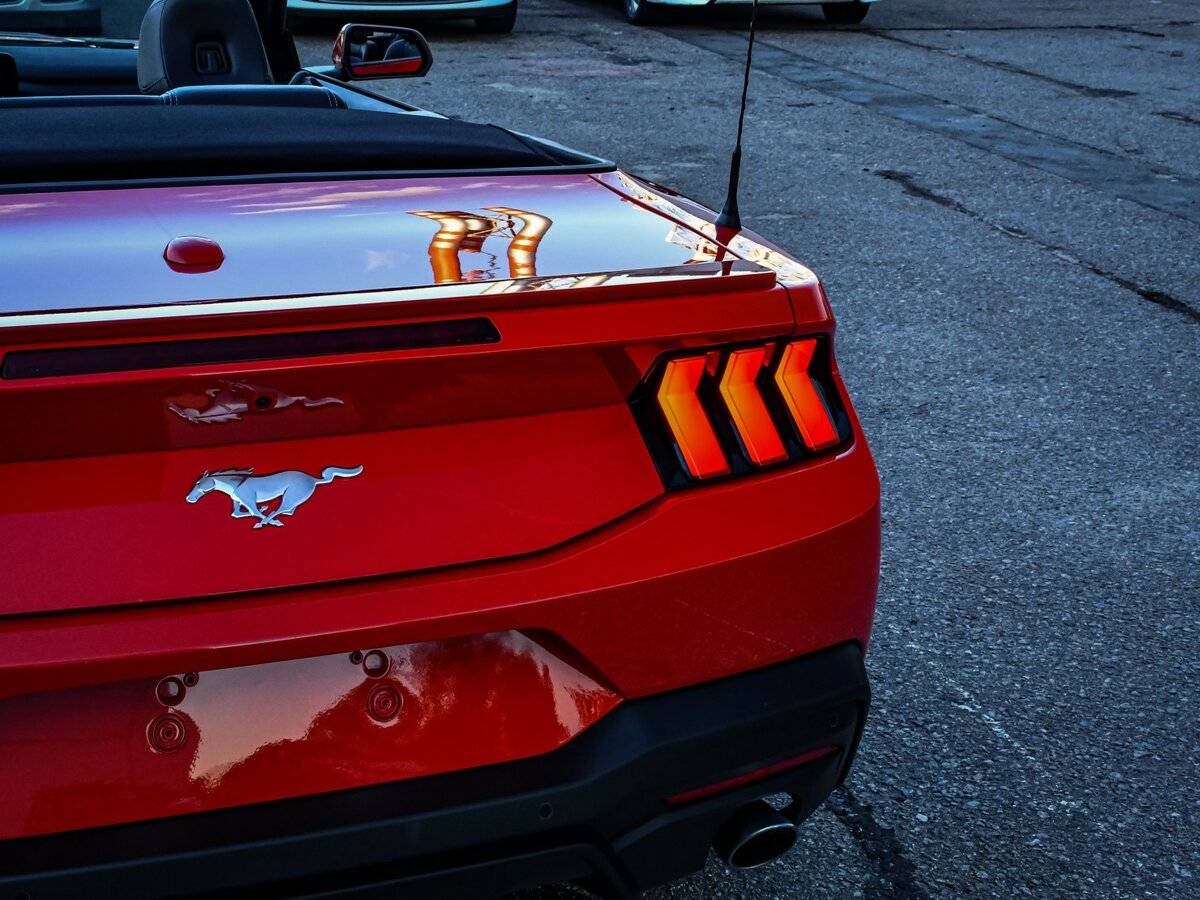 Ford Mustang VII, 2024 Фото №22