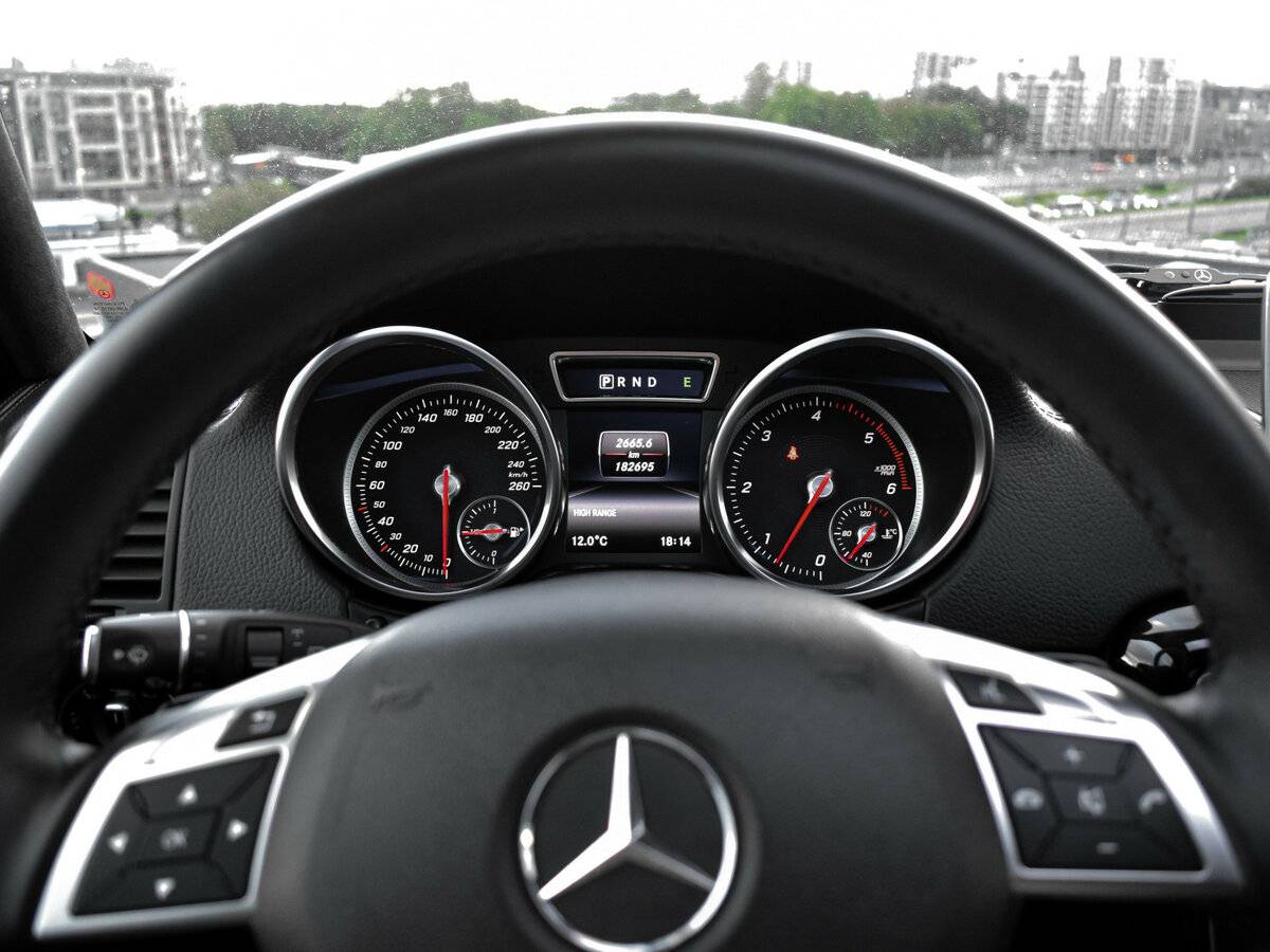 Mercedes-Benz G-Класс 350 d II (W463) Рестайлинг 4, 2017 Фото №17