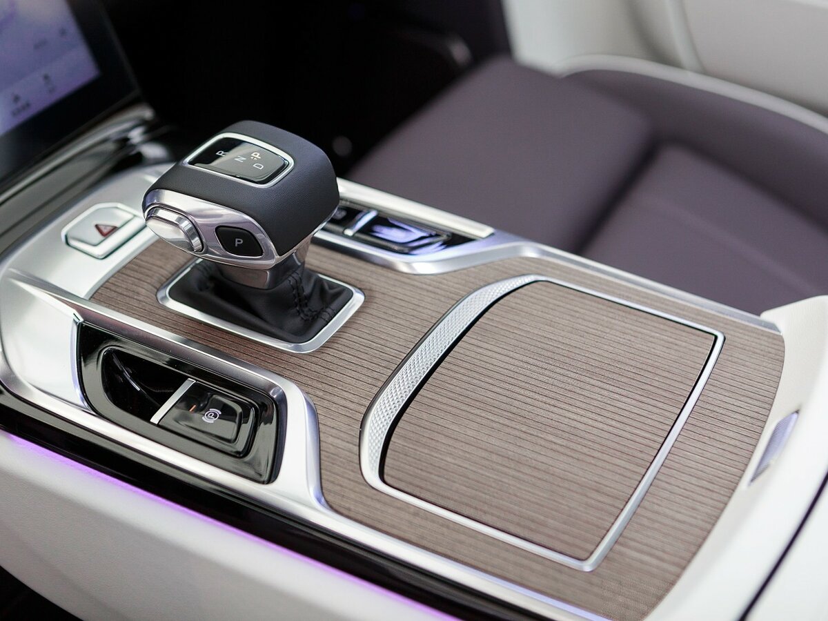 Hongqi E-HS9 99 kWh, 2022 Фото №17