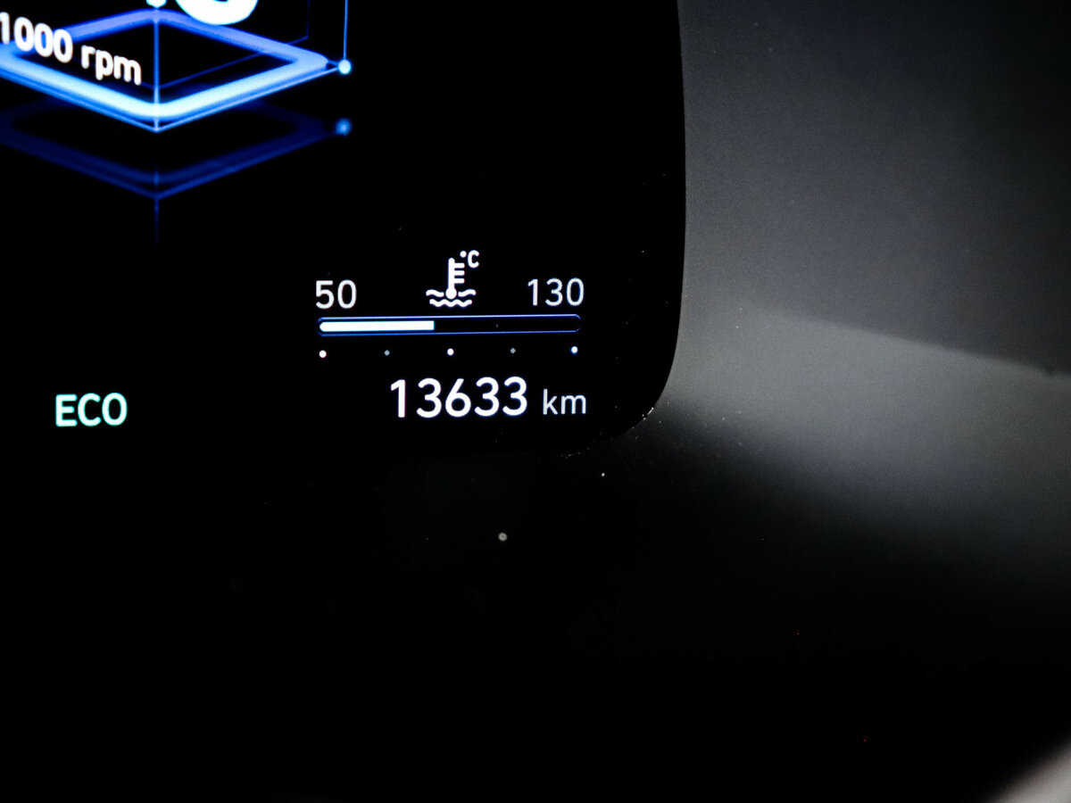 Hyundai Palisade I Рестайлинг, 2024 Фото №11