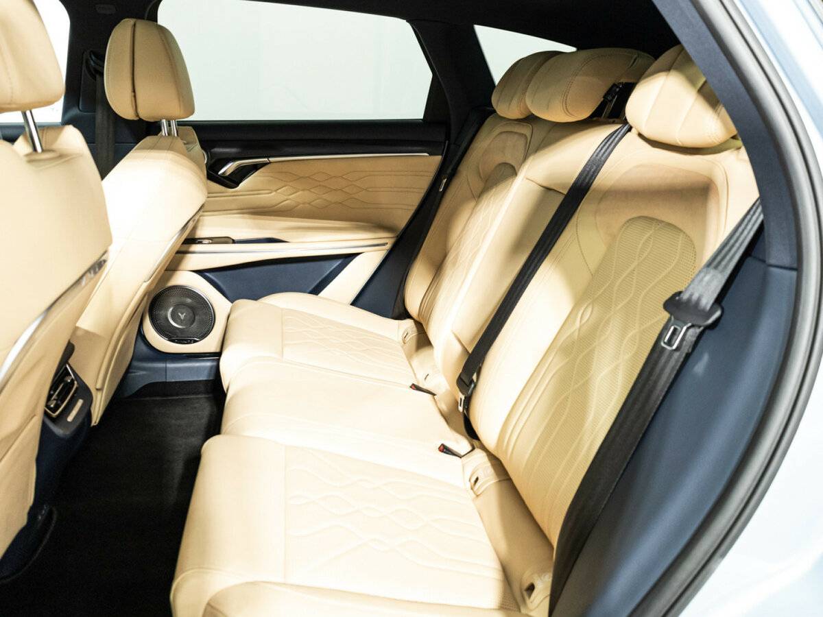 Voyah Free EVR I, 2022 Фото №10