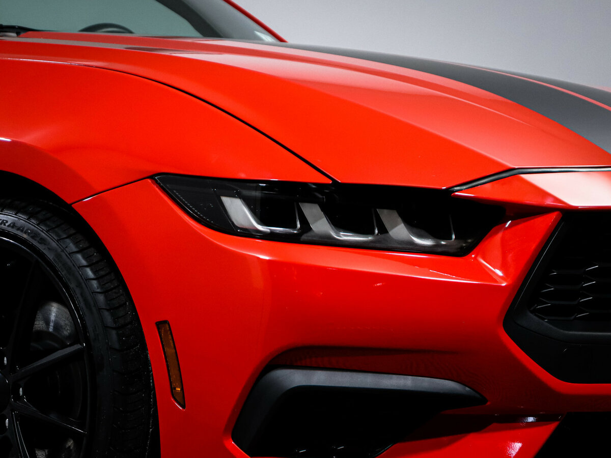 Ford Mustang VII, 2024 Фото №15