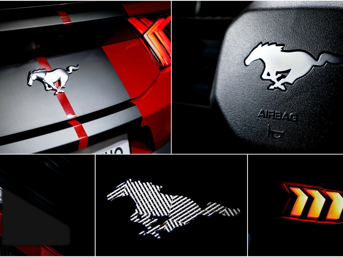 Ford Mustang VII, 2024 Фото №19